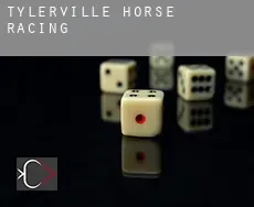 Tylerville  horse racing
