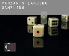 Vanzant's Landing  gambling