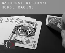 Bathurst Regional horse racing