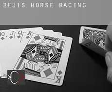 Bejís  horse racing
