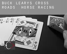 Buck Leary’s Cross Roads horse racing