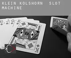 Klein Kolshorn  slot machine