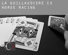 La Guillaudière (census area)  horse racing