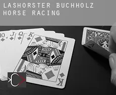 Lashorster Buchholz horse racing