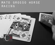Mato Grosso horse racing