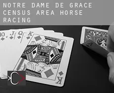 Notre-Dame-de-Grâce (census area)  horse racing
