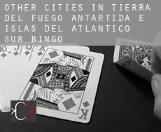 Other cities in Tierra del Fuego, Antartida e Islas del Atlantico Sur  bingo
