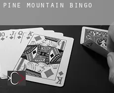 Pine Mountain  bingo