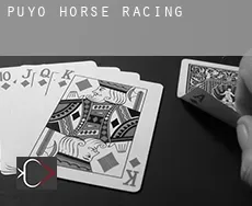 Puyo horse racing