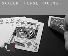 Saxler horse racing