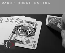 Warup  horse racing
