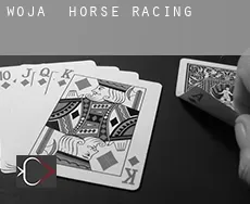 Woja  horse racing