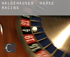Halgehausen horse racing