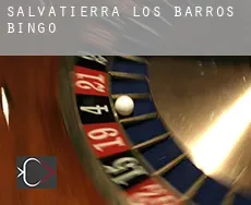 Salvatierra de los Barros bingo