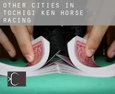 Other cities in Tochigi-ken  horse racing
