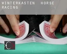 Winterkasten  horse racing