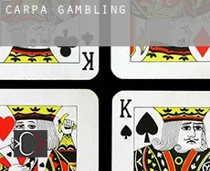 Carpa  gambling