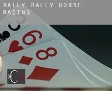 Bally Bally  horse racing