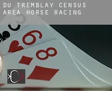 Du Tremblay (census area)  horse racing