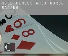 Hull (census area)  horse racing