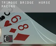 Trimoge Bridge  horse racing