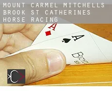 Mount Carmel-Mitchells Brook-St. Catherines  horse racing