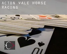 Acton Vale  horse racing