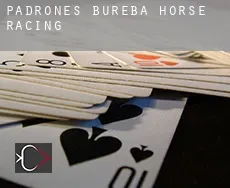 Padrones de Bureba  horse racing