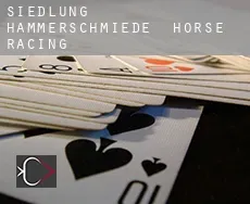 Siedlung Hammerschmiede horse racing