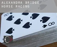 Alexandra Bridge horse racing