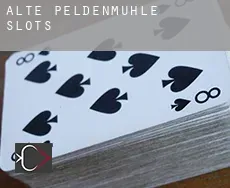 Alte Peldenmühle  slots