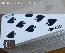 Burgholz slots