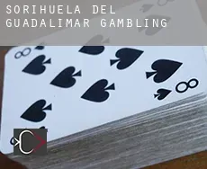 Sorihuela del Guadalimar  gambling