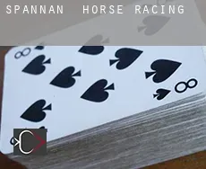 Spannan  horse racing