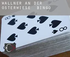 Wallner an der Osterwiese  bingo