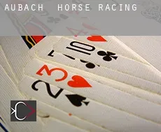 Aubach  horse racing