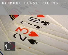 Dinmont  horse racing
