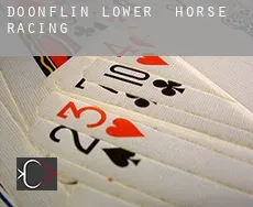 Doonflin Lower horse racing