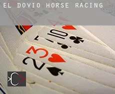 El Dovio  horse racing