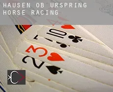 Hausen ob Urspring  horse racing