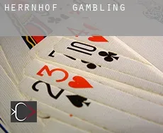 Herrnhof  gambling