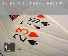 Hofreith  horse racing