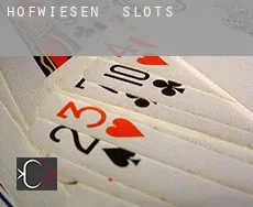 Hofwiesen  slots