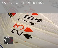 Magaz de Cepeda  bingo