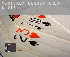 Montcalm (census area)  slots