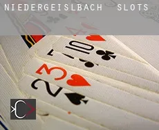 Niedergeislbach  slots