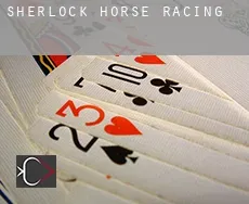 Sherlock  horse racing