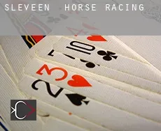 Sleveen  horse racing