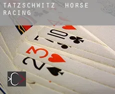 Tätzschwitz horse racing
