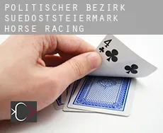 Politischer Bezirk Suedoststeiermark  horse racing